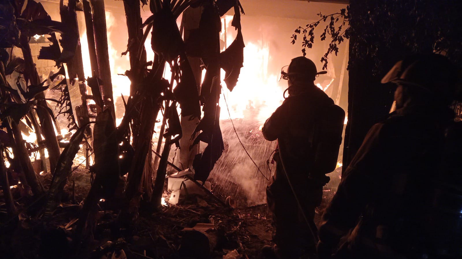 uploads/6/32/01 (2359).Jpeg